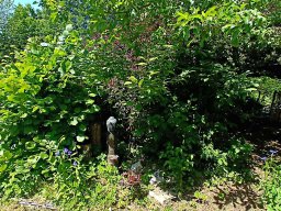 Rita offene Gartentor